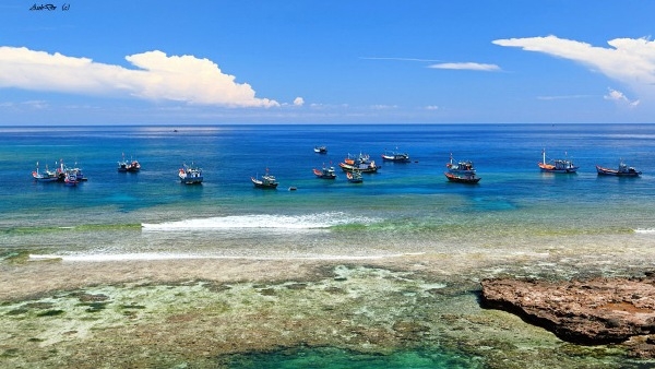 Mức thu tiền sử dụng khu vực biển đối với hoạt động khai thác, sử dụng biển trên địa bàn tỉnh Quảng Ngãi năm 2019